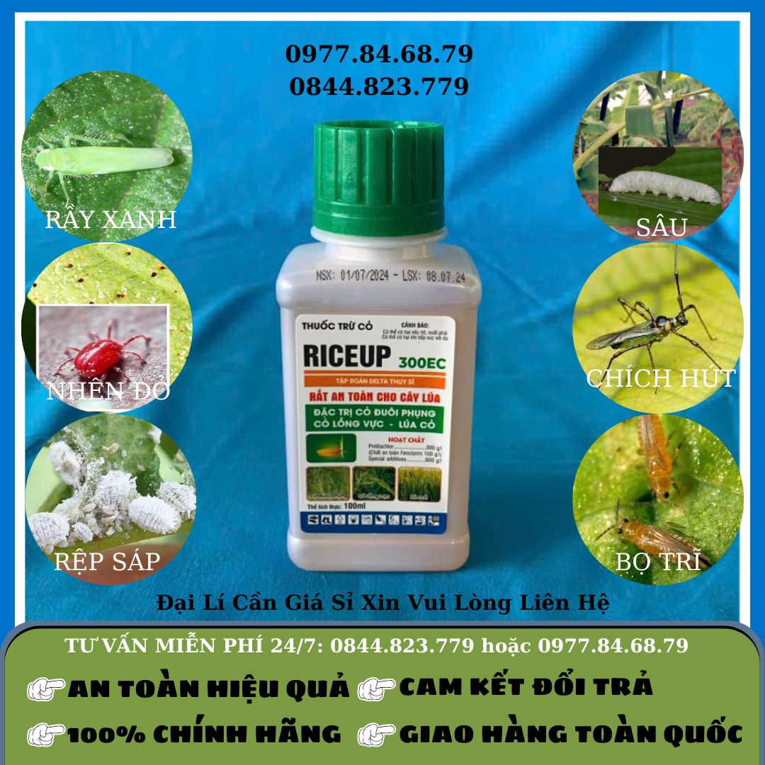 RiceUp 300EC 100ml