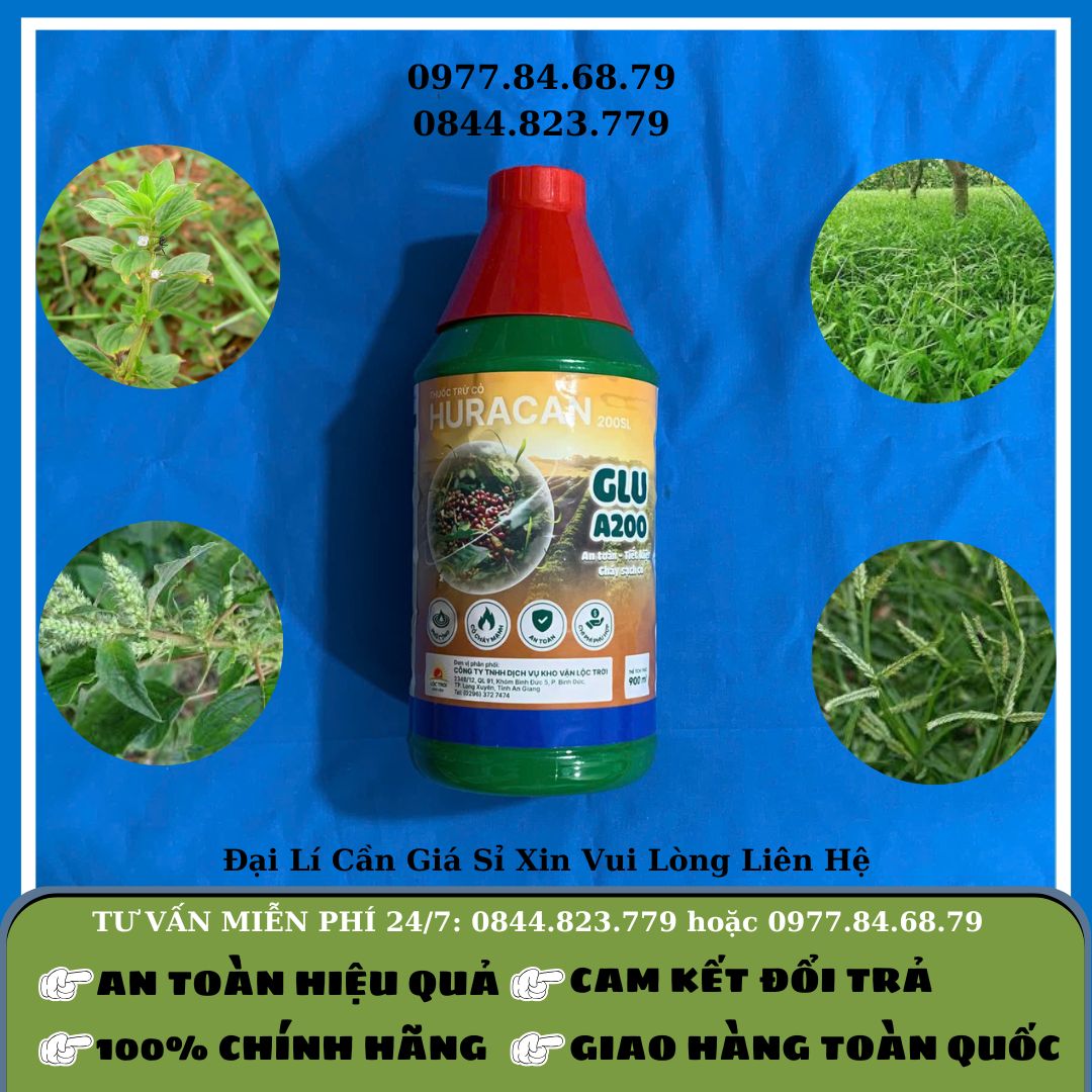 Thuốc cỏ Huracan Lộc Trời 900ml