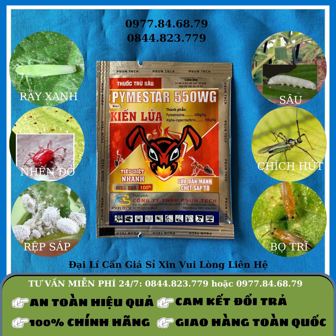 Kiến lửa (Pymestar 550WG)