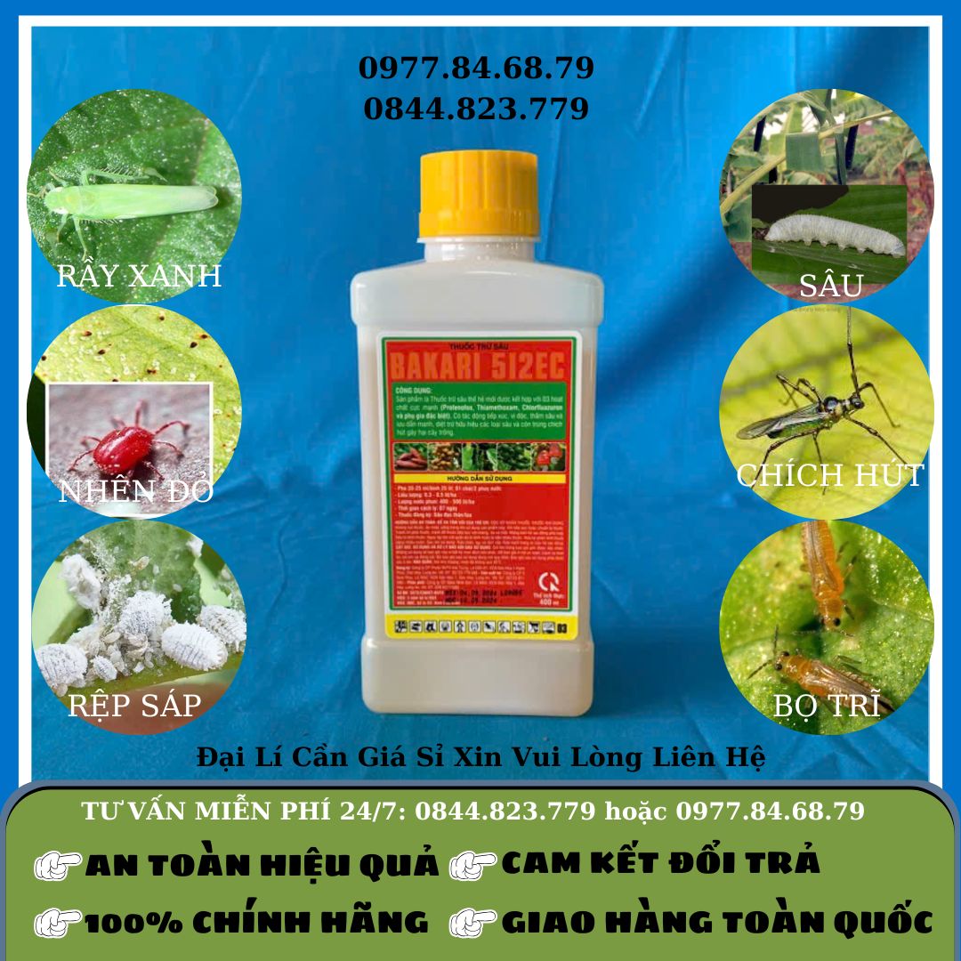 Vua Rệp Sáp Sùng Hà 400ml