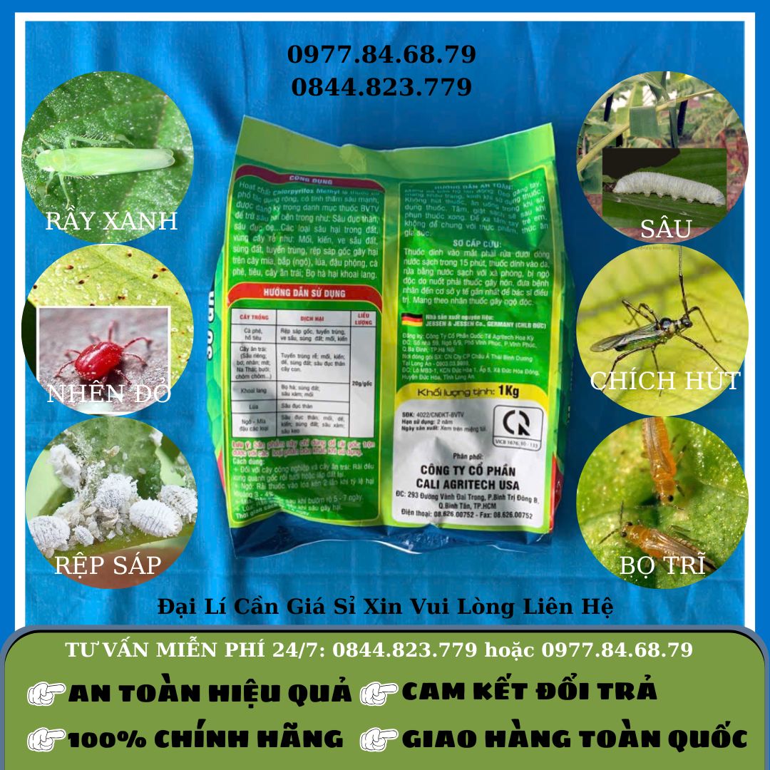 Mối Chlorifos Methyl