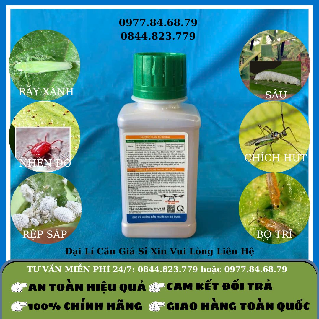 RiceUp 300EC 100ml