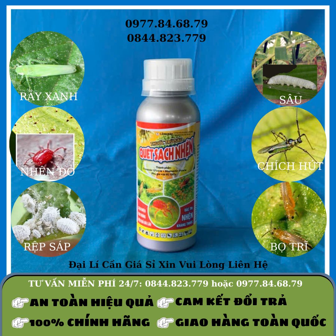 Quét Sạch Nhện 240ml