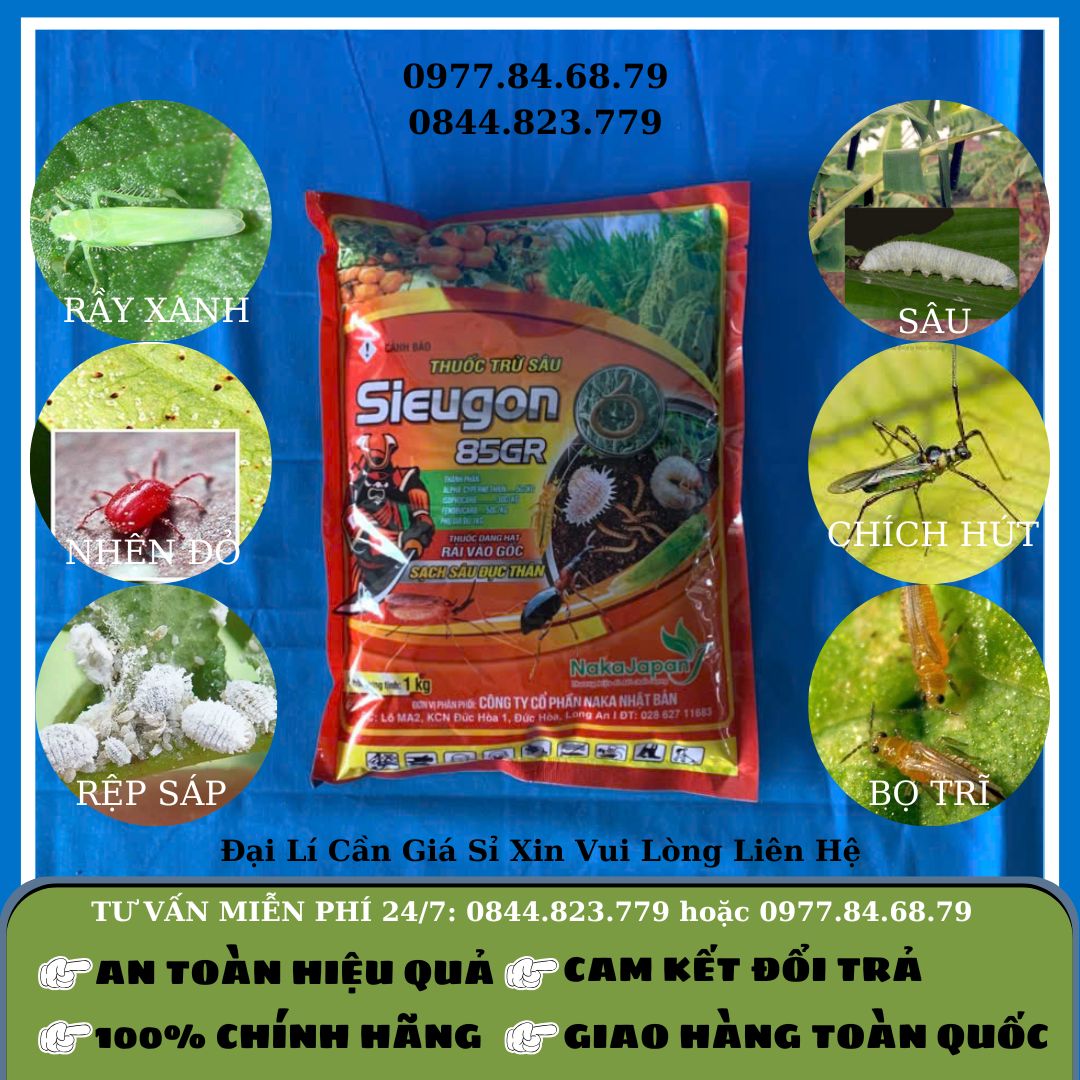 Thuốc Mối Sieugon 85GR 1kg