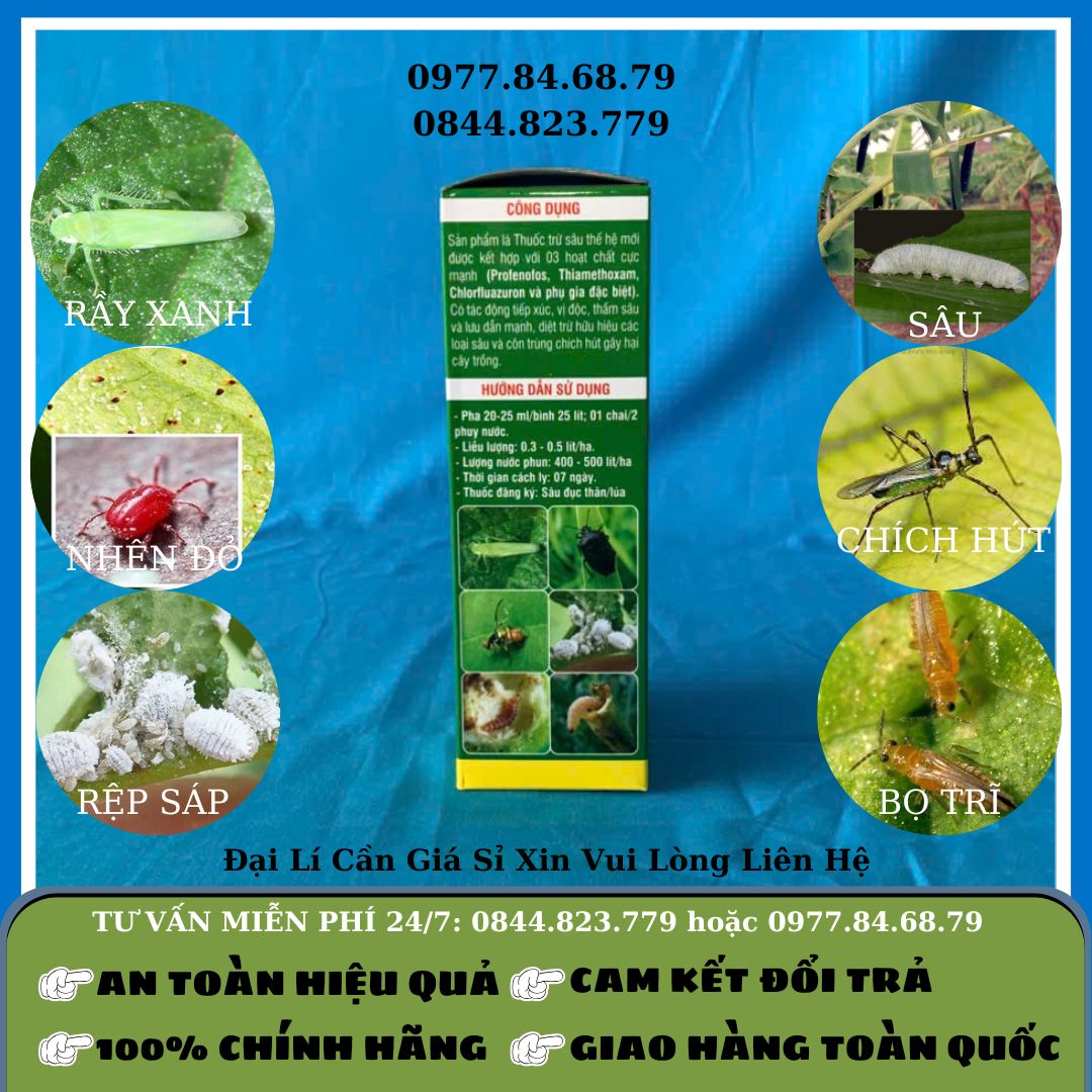 Vua Rệp Sáp Sùng Hà 400ml