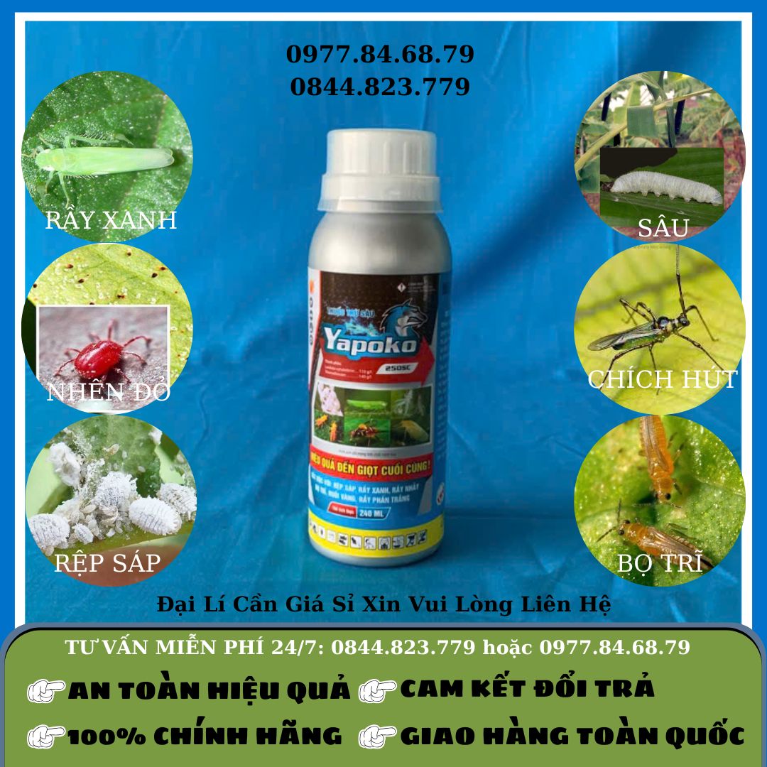 Yapoko 250SC (240ml)