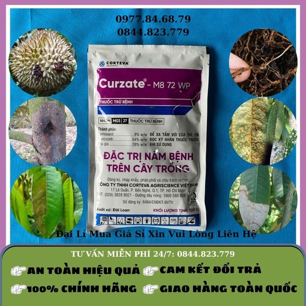 Thuốc trừ bệnh