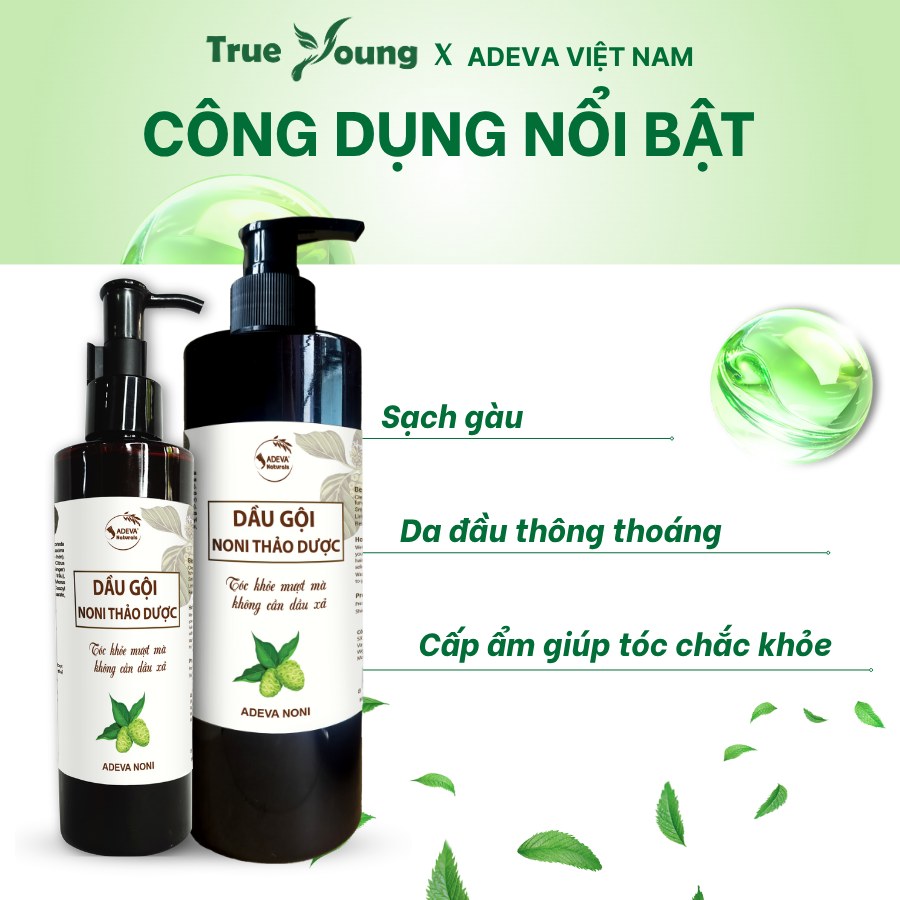 Dầu Gội Hỗ Trợ Bết Dầu, Gàu Nấm ADEVA, Chiết Xuất Trái Nhàu Và Dược Liệu Thiên Nhiên