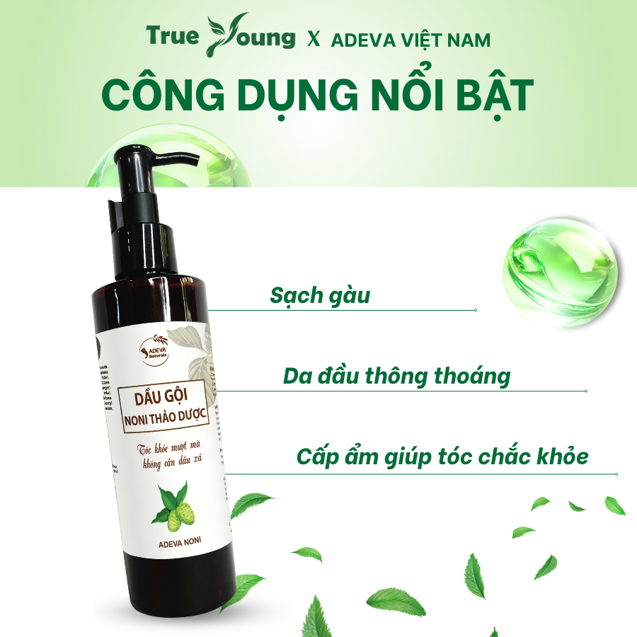 Dầu Gội Hỗ Trợ Bết Dầu, Gàu Nấm ADEVA, Chiết Xuất Trái Nhàu Và Dược Liệu Thiên Nhiên