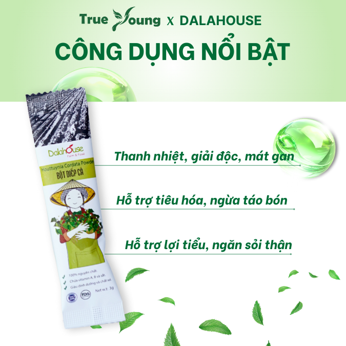 Bột rau diếp cá hữu cơ nguyên chất Dalahouse