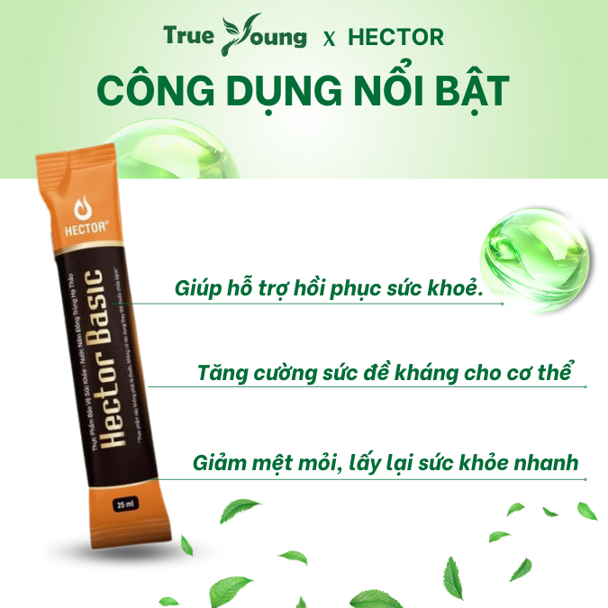 Nước nấm Đông trùng hạ thảo Hector Basic (10 gói x 25ml) hỗ trợ bồi bổ cơ thể