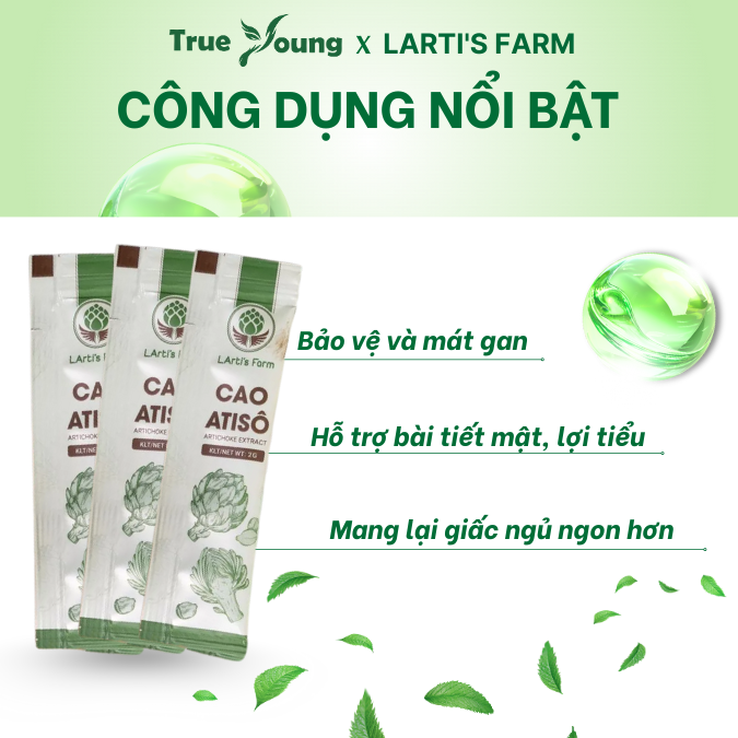 Cao Atiso Đà Lạt Hữu Cơ Dạng Stick - LArti's Farm