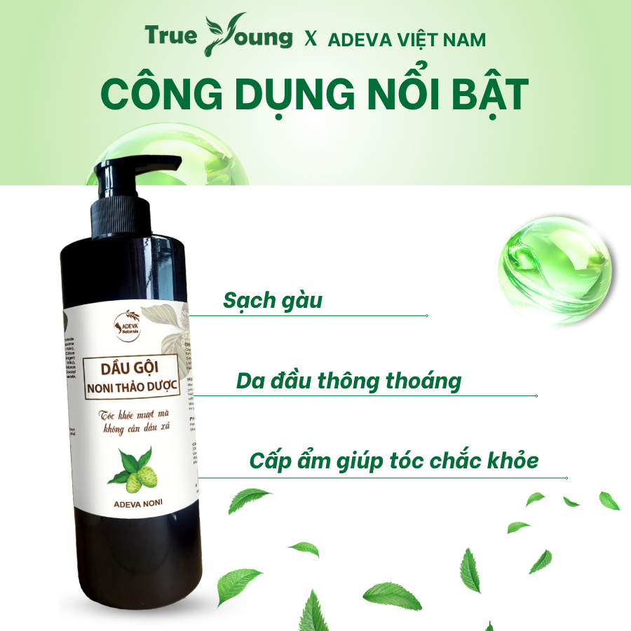 Dầu Gội Hỗ Trợ Bết Dầu, Gàu Nấm ADEVA, Chiết Xuất Trái Nhàu Và Dược Liệu Thiên Nhiên