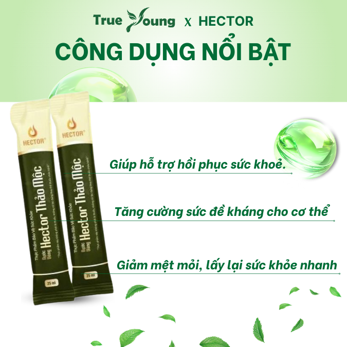 Nước uống Hector Thảo Mộc Đông Trùng Hạ Thảo (10 túi x 25ml)