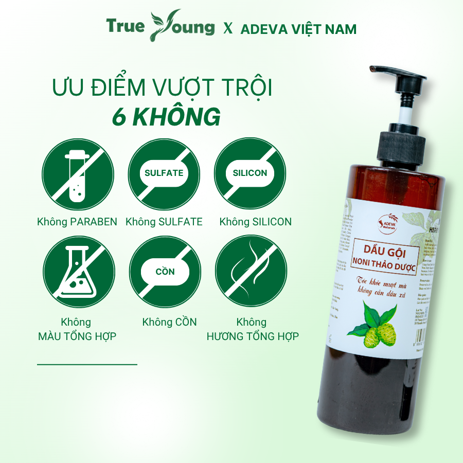 Dầu Gội Hỗ Trợ Bết Dầu, Gàu Nấm ADEVA, Chiết Xuất Trái Nhàu Và Dược Liệu Thiên Nhiên