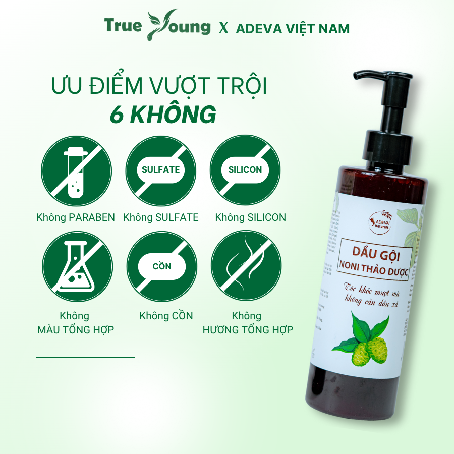 Dầu Gội Hỗ Trợ Bết Dầu, Gàu Nấm ADEVA, Chiết Xuất Trái Nhàu Và Dược Liệu Thiên Nhiên