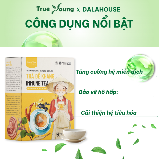 Trà đề kháng Dalahouse hỗ trợ cân bằng có thể