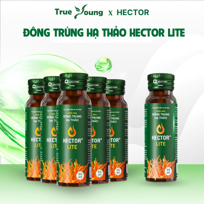 Nước Nấm Đông trùng hạ thảo Hector Lite hỗ trợ cải thiện chỉ số đường huyết