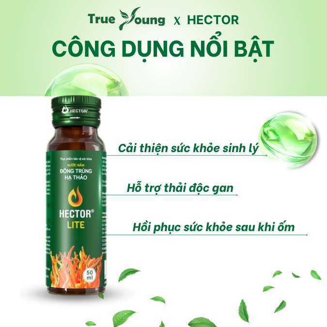 Nước Nấm Đông trùng hạ thảo Hector Lite hỗ trợ cải thiện chỉ số đường huyết