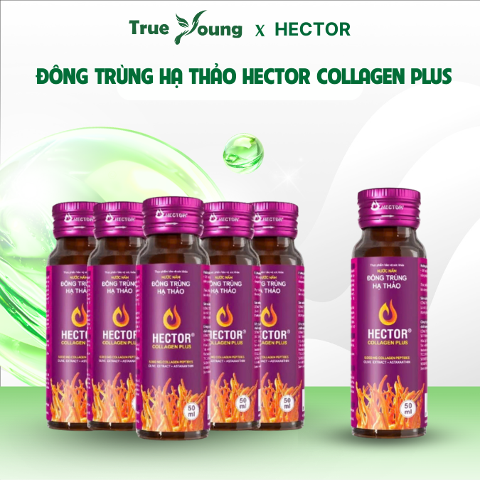 Nước Nấm Đông trùng hạ thảo Hector Collagen Plus hỗ trợ làm mờ thâm nám, bổ sung collagen