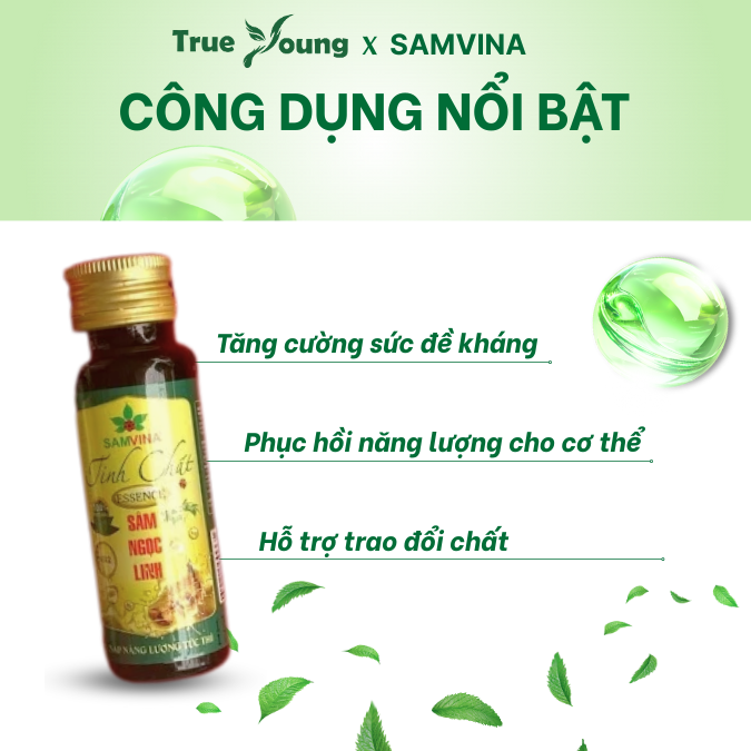 Tinh Chất Sâm Ngọc Linh Sâm Vina thuần thiên nhiên không hoá chất