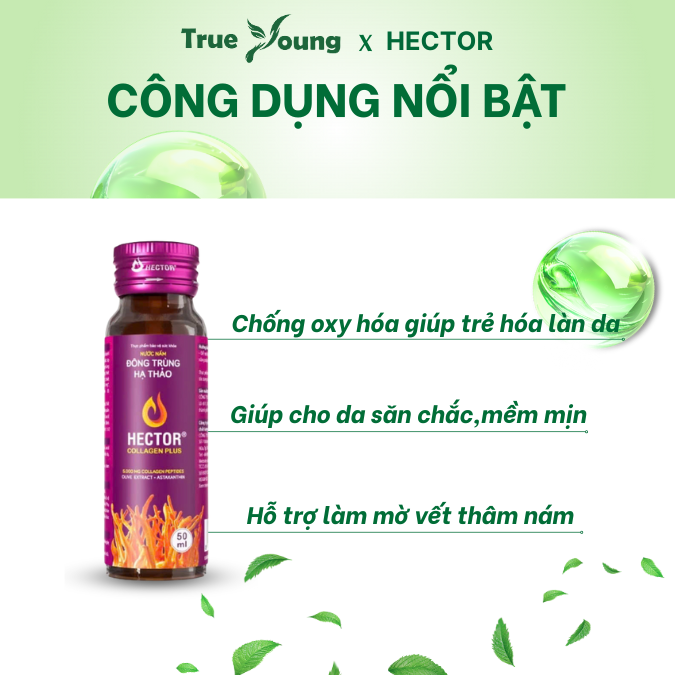 Nước Nấm Đông trùng hạ thảo Hector Collagen Plus hỗ trợ làm mờ thâm nám, bổ sung collagen