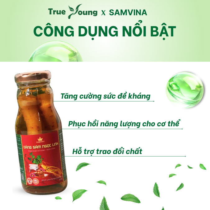Nước uống đẳng sâm Ngọc Linh Vina Sâm