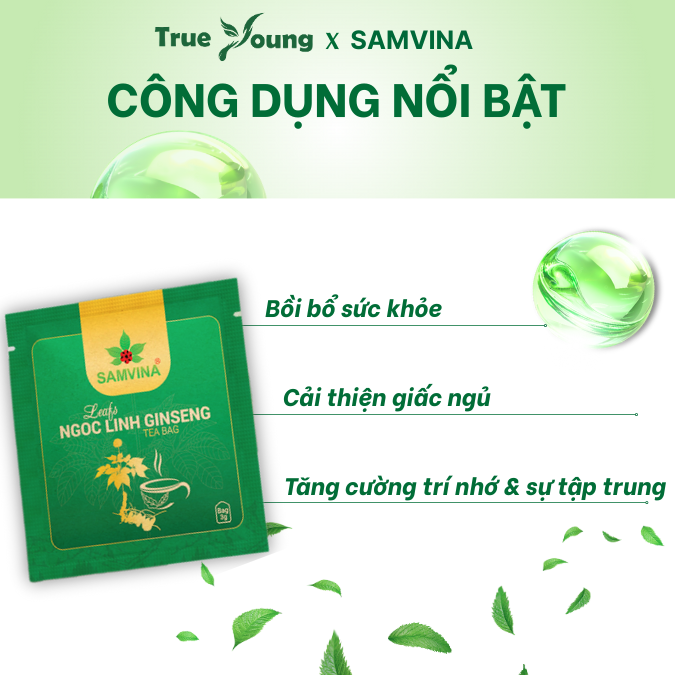 Trà túi lọc Sâm Ngọc Linh Sâm Vina