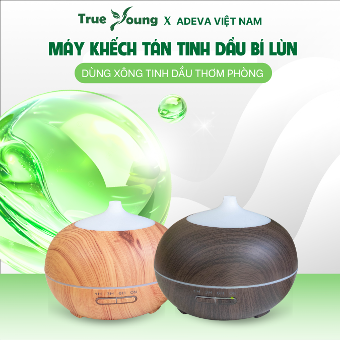Mày Khuếch Tán Tinh Dầu Bí Lùn 550ml