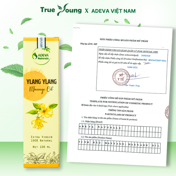 Tinh dầu massage Hoa Ngọc Lan Tây (Ylang Ylang) - Body Oil, Massage Oil, Mát Xa Thư Giãn, Dưỡng Ẩm Cho Da