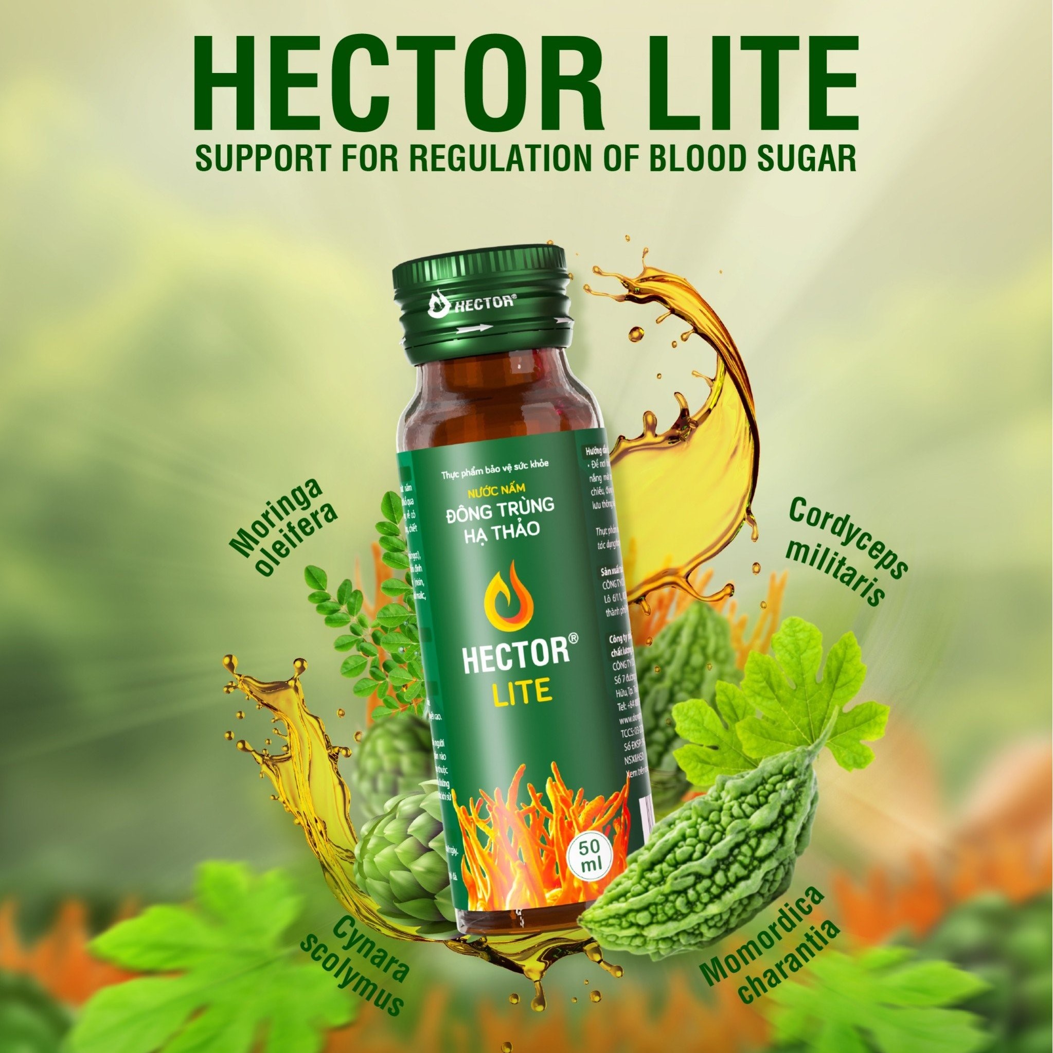 Nước Nấm Đông trùng hạ thảo Hector Lite hỗ trợ cải thiện chỉ số đường huyết
