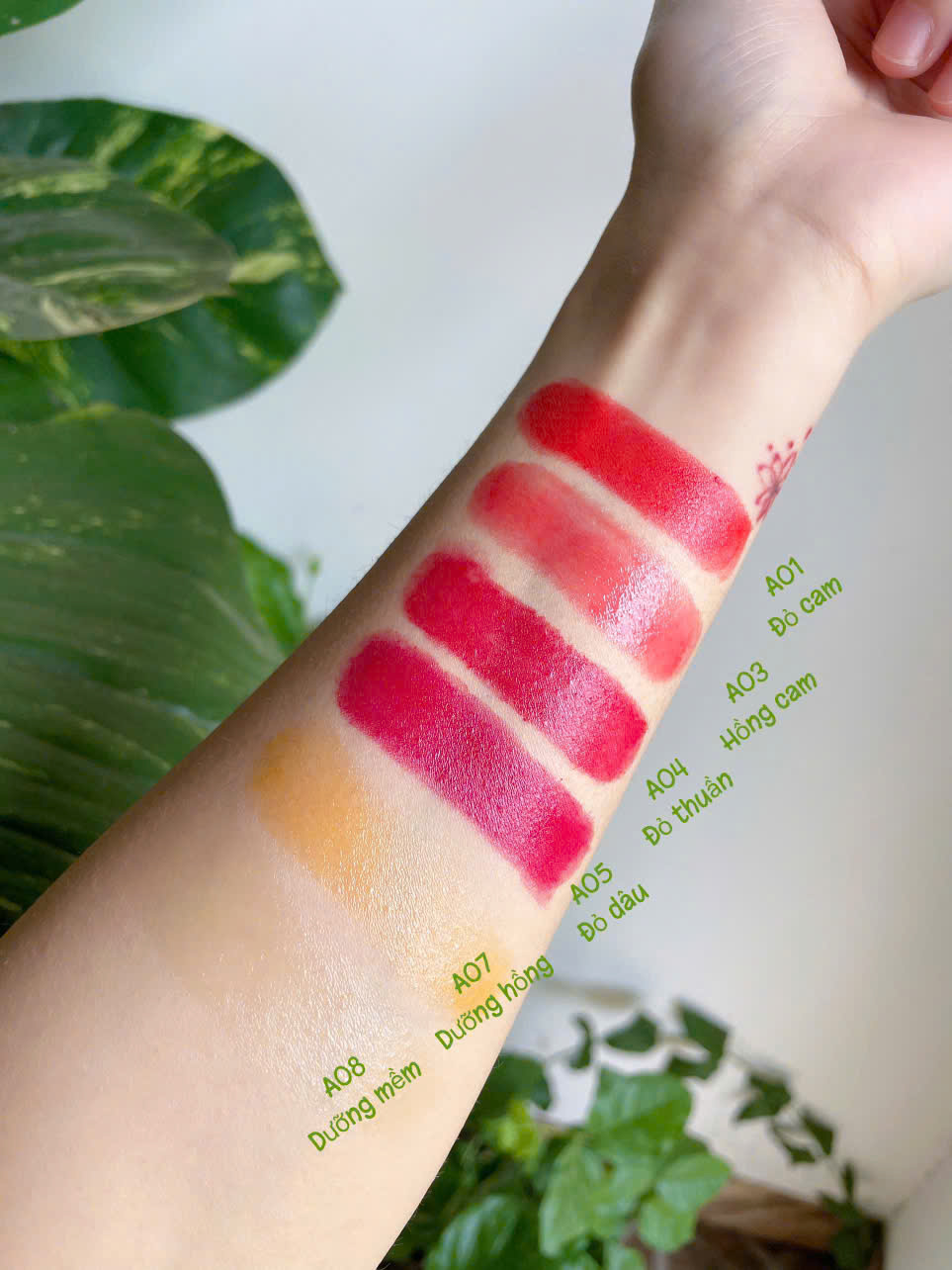 Son dưỡng môi Pơ Lang có màu từ trái bơ, an toàn cho mẹ bầu và trẻ nhỏ