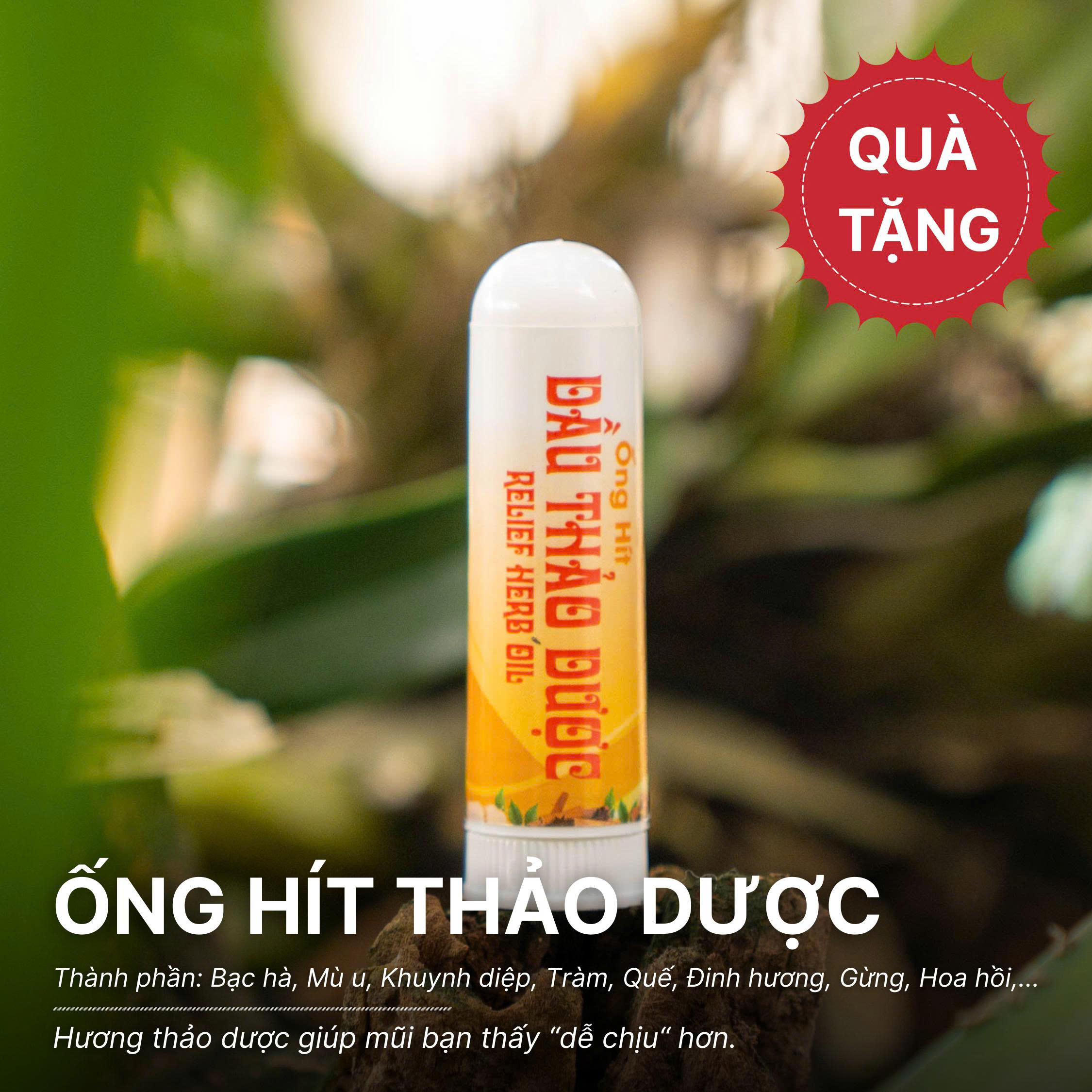 (SIÊU SALE ĐỔI MÔ HÌNH) Kẹo gừng + Dầu thảo dược + Ống hít