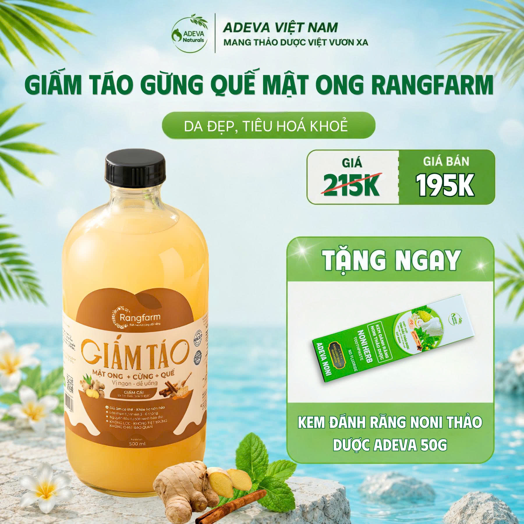 GIẤM TÁO GỪNG QUẾ MẬT ONG RANGFARM TẶNG NGAY 1 KEM ĐÁNH RĂNG 50G