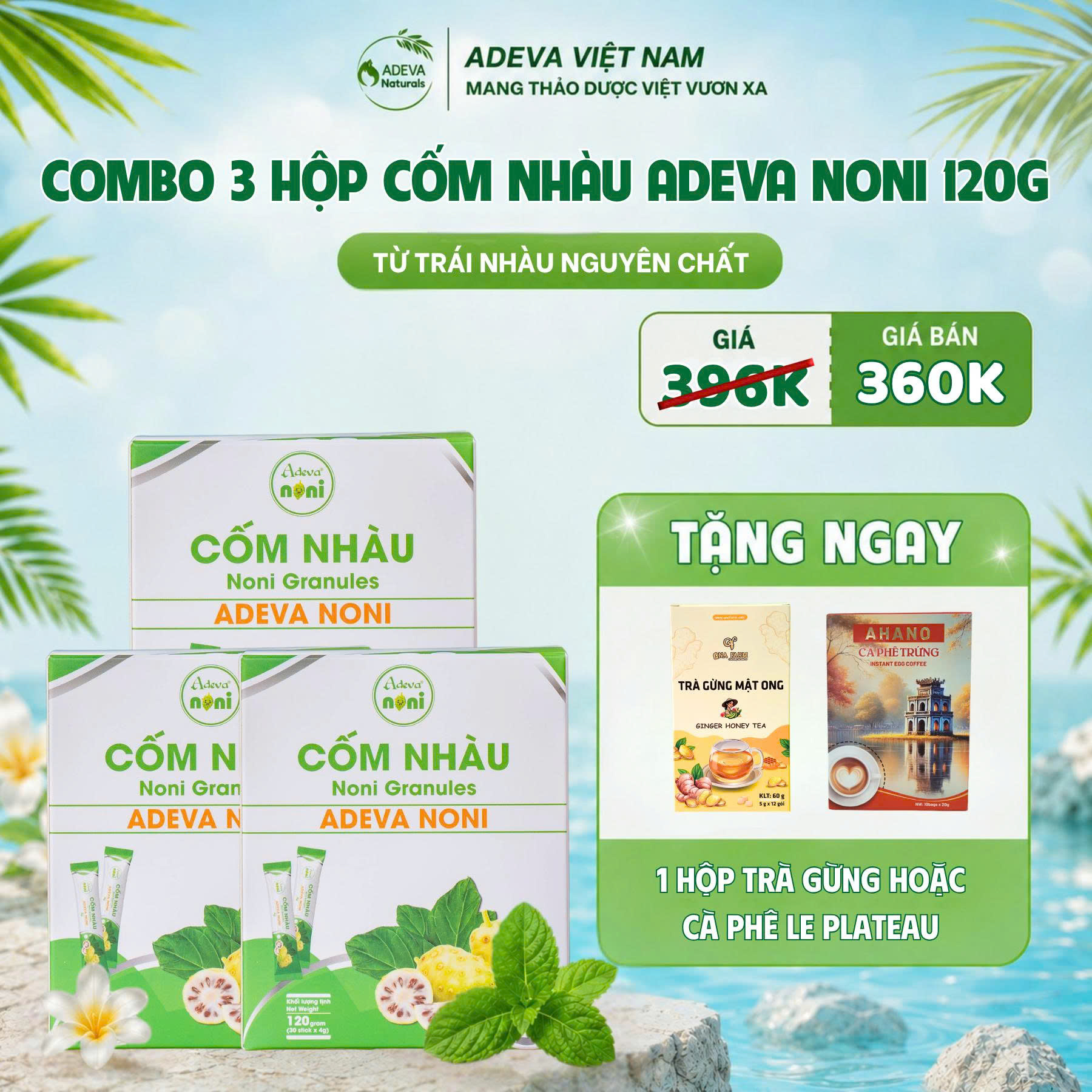 COMBO 3 HỘP CỐM NHÀU ADEVA NONI TẶNG NGAY TRÀ GỪNG HÒA TAN HOẶC CAFE TRỨNG HÒA TAN