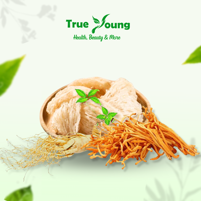 Sâm, Yến & Đông Trùng