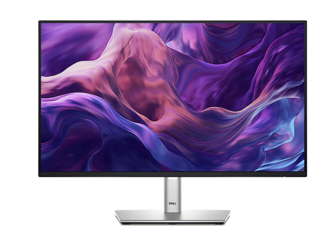 Màn Hình Dell P2425H (23.8 inch - FHD - IPS - 100Hz - 5ms - USB TypeC)