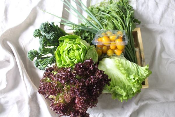 6 Lợi ích hàng đầu để bạn quyết định lựa chọn thực phẩm hữu cơ