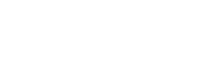 logo bdstorevn