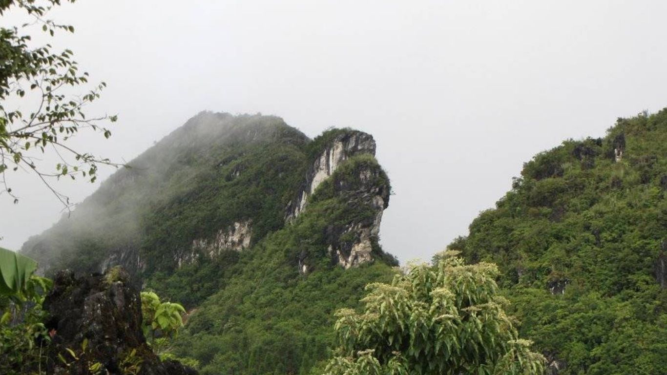 [2 Ngày 1 đêm] Tour ghép Hà Nội – Sapa – Bản Cát Cát – Hàm Rồng