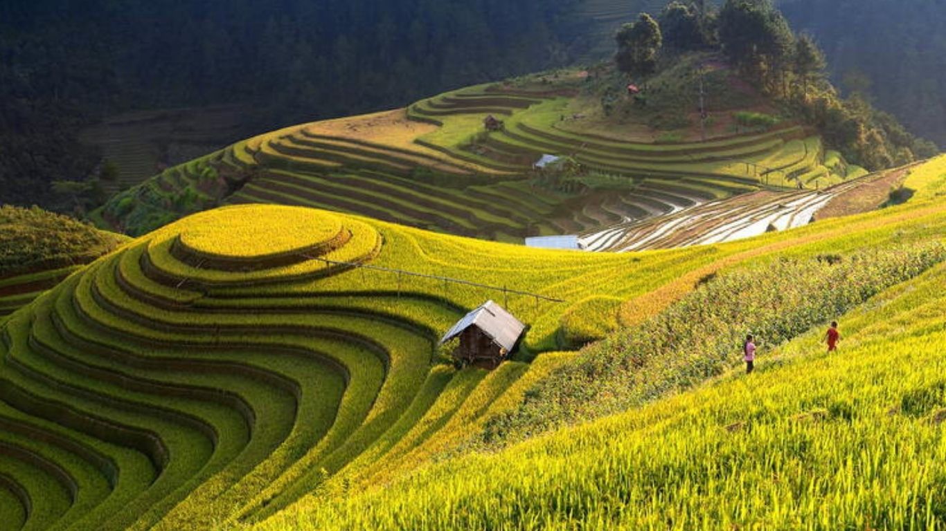 [3 Ngày 2 đêm] Tour ghép Hà Nội – Mù Căng Chải - Ngọc Chiến - Hà Nội