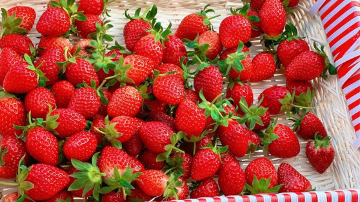 [2 Ngày 1 đêm] Tour ghép Hà Nội – Mộc Châu - Hà Nội