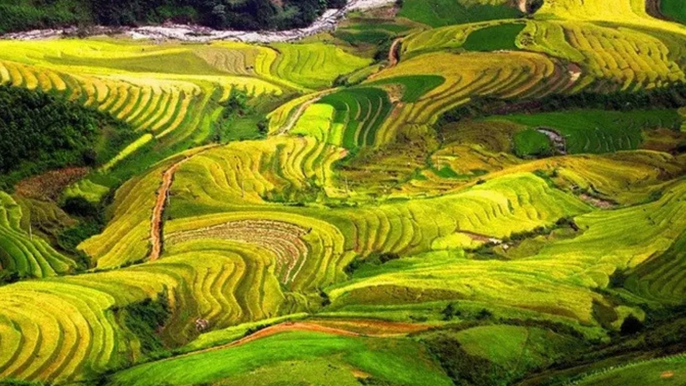 [3 Ngày 2 đêm] Tour ghép Hà Nội – Mù Căng Chải - Ngọc Chiến - Hà Nội