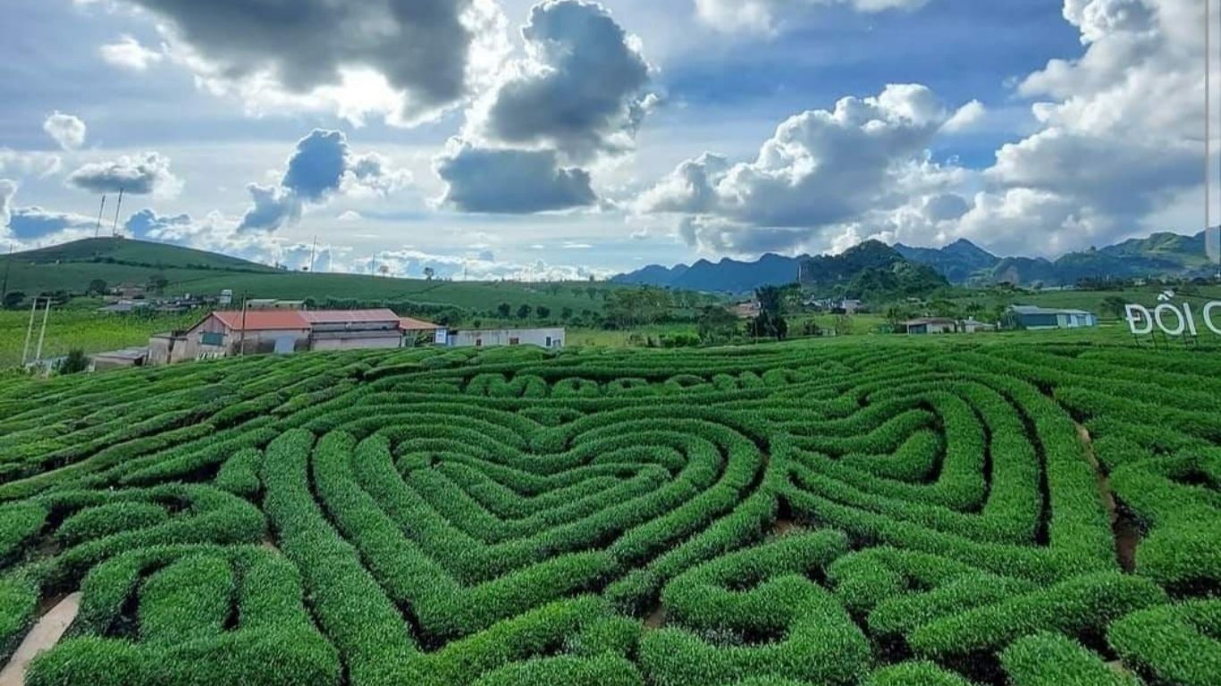 [2 Ngày 1 đêm] Tour ghép Hà Nội – Mộc Châu - Hà Nội
