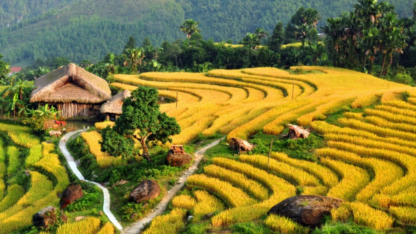 [3 Ngày 2 đêm] Tour ghép Hà Nội – Mù Căng Chải - Ngọc Chiến - Hà Nội