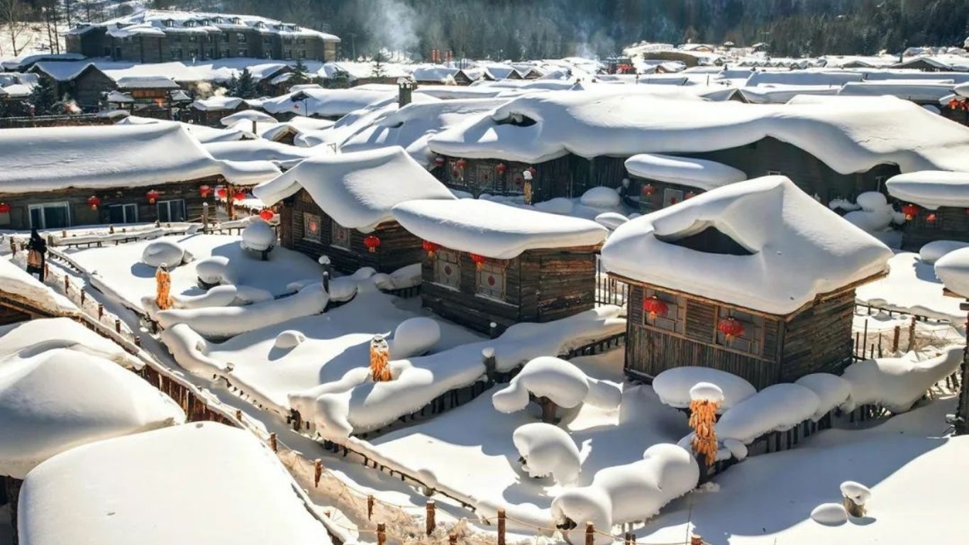 [5 Ngày 4 đêm] Tour Hồ Chí Minh - Cáp Nhĩ Tân - Á Bổ Lực – Tuyết Hương