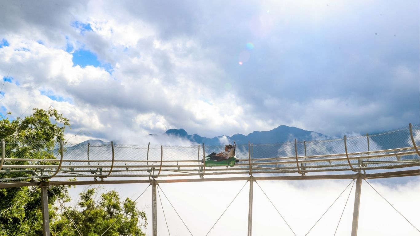 Xe trượt Alpine Coaster SaPa