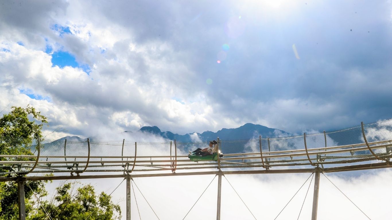 Xe trượt Alpine Coaster SaPa