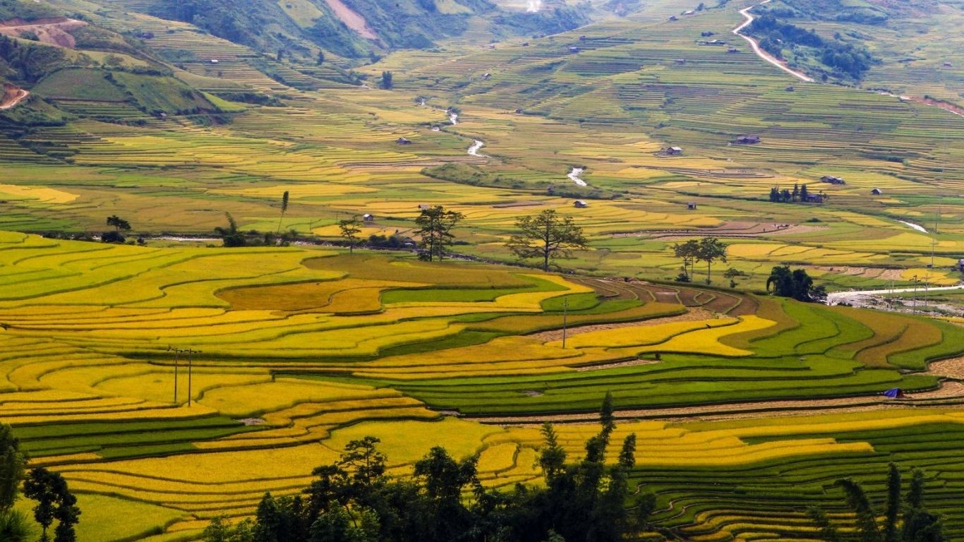 [3 Ngày 2 đêm] Tour ghép Hà Nội – Mù Căng Chải - Ngọc Chiến - Hà Nội