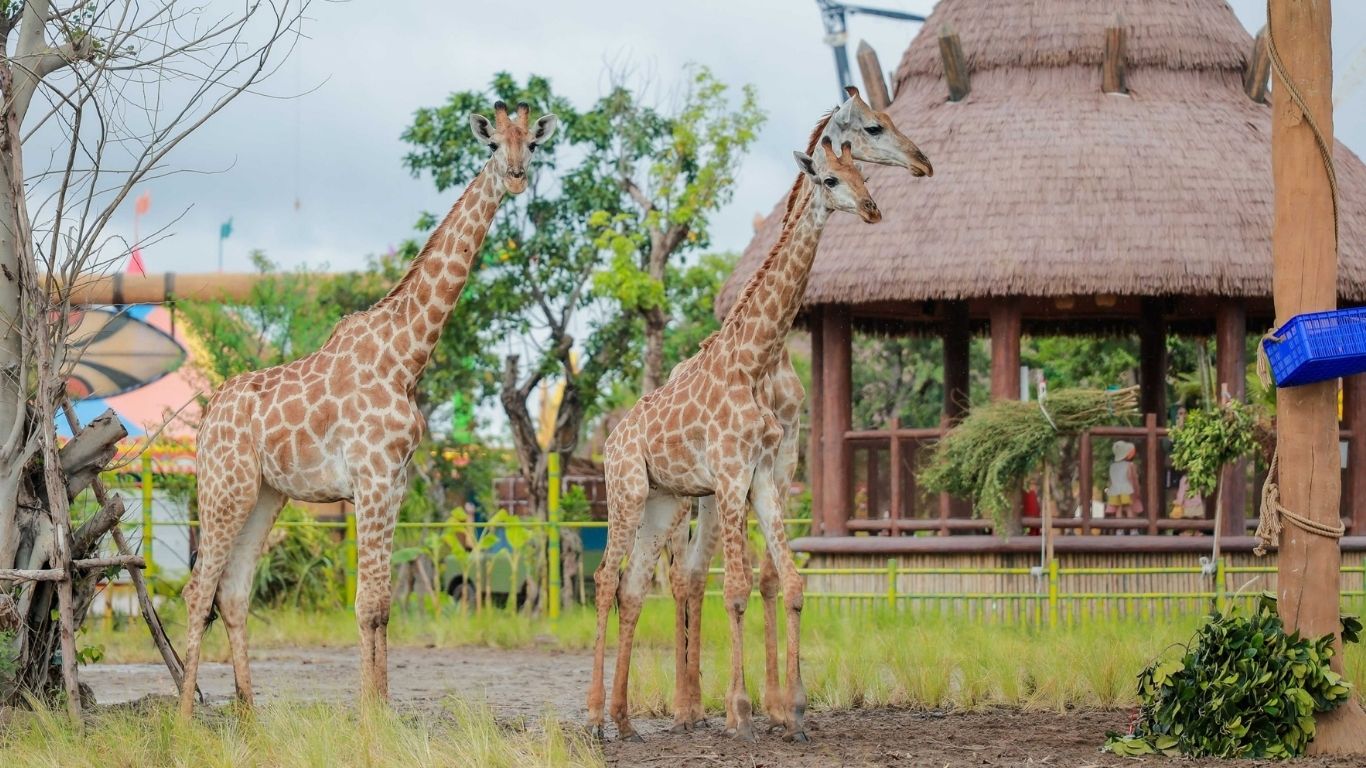 5 Sao - Melia Vinpearl Hải Phòng Rivera | Gói Ưu Đãi “Fall Into Fun Packages”